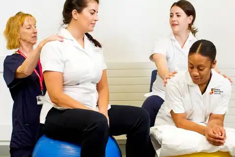 Bachelor physiotherapy review